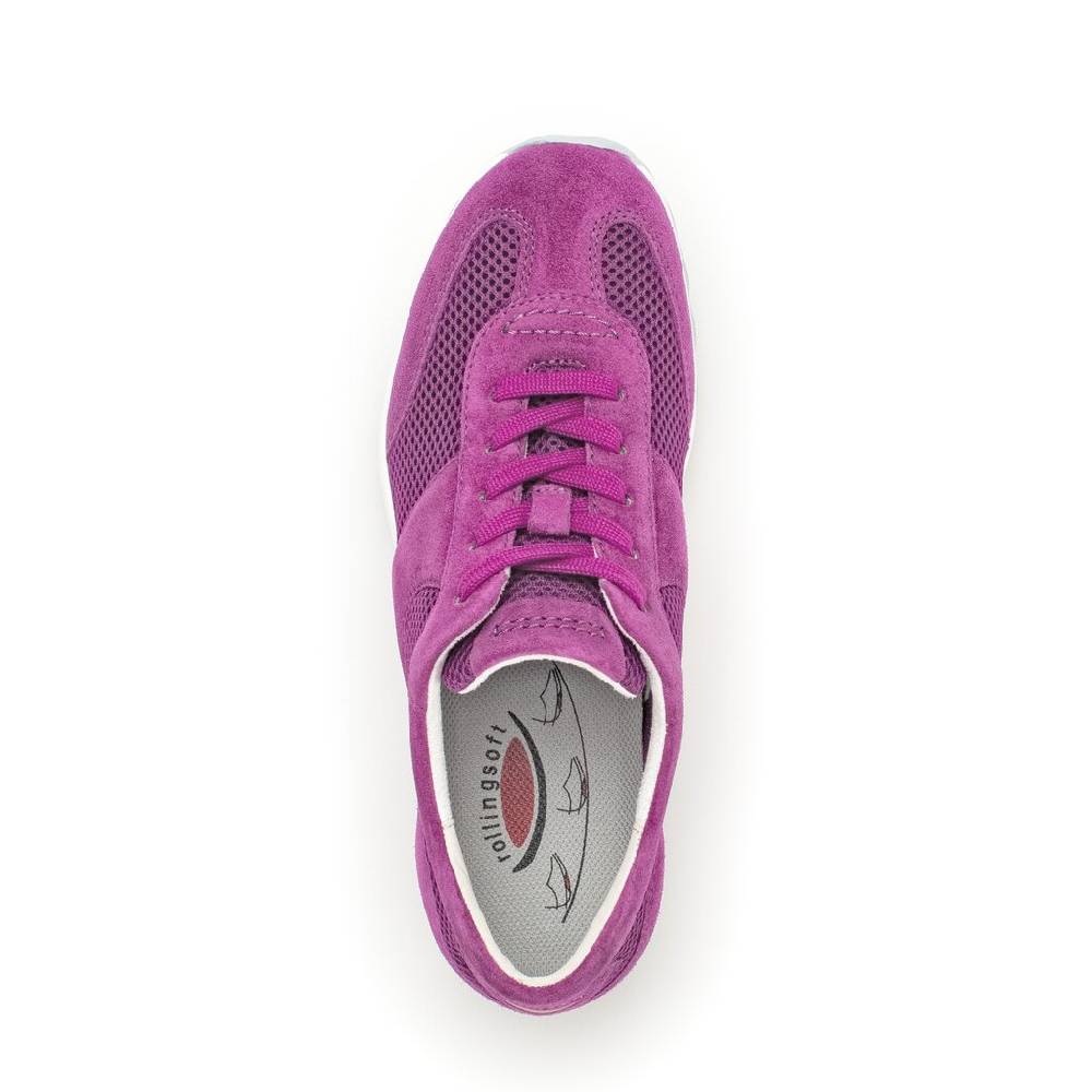 Pius Gabor Sneaker low lila Hotsell