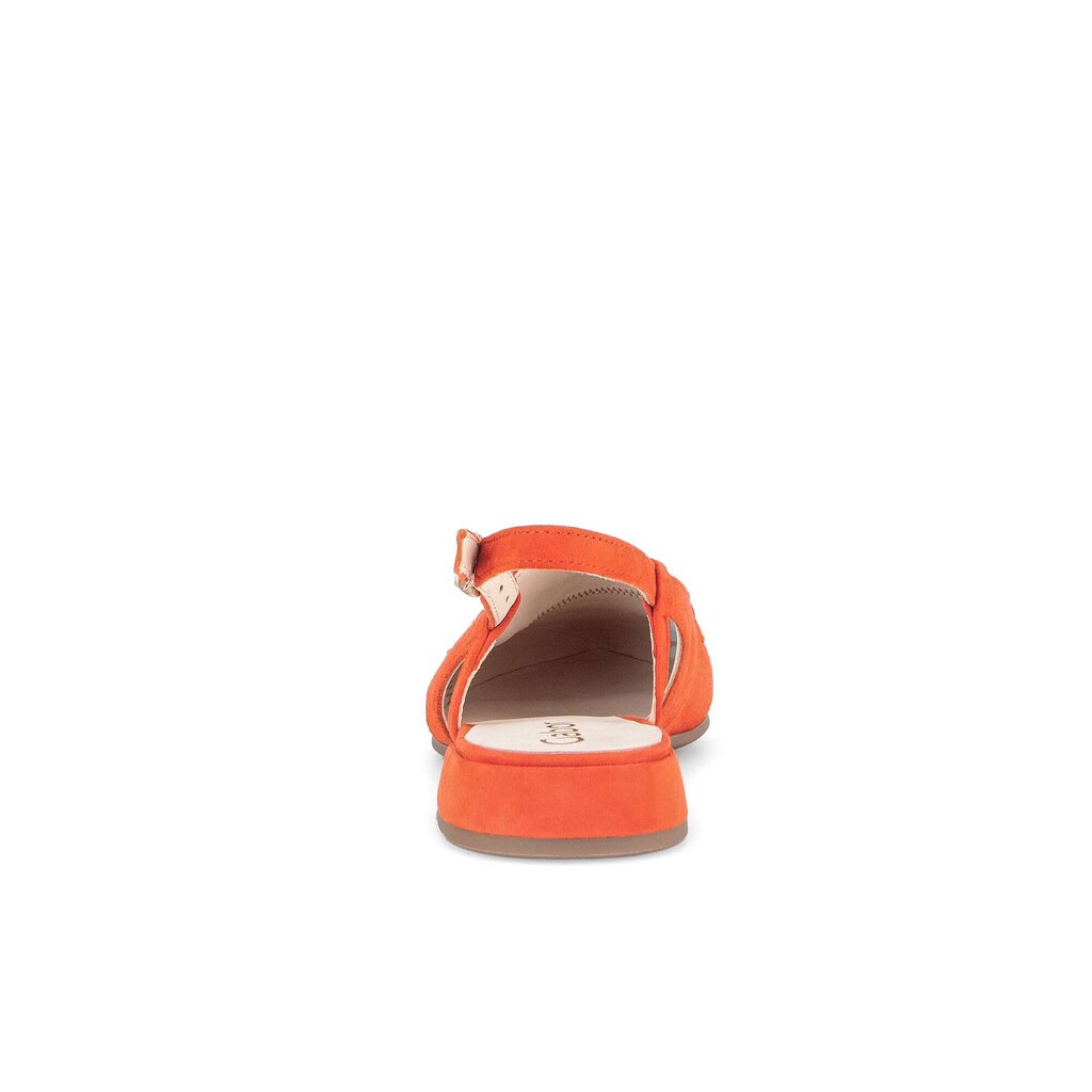 Pius Gabor Slingpumps orange Bestseller