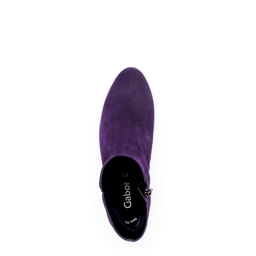 Pius Gabor Elegante Stiefelette lila 50% Rabatt mit kostenlosem Versand