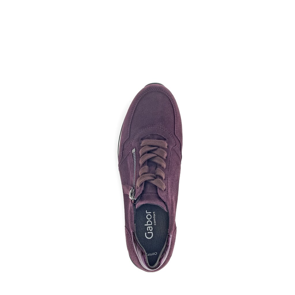 Pius Gabor Sneaker low lila Jubiläumsangebot