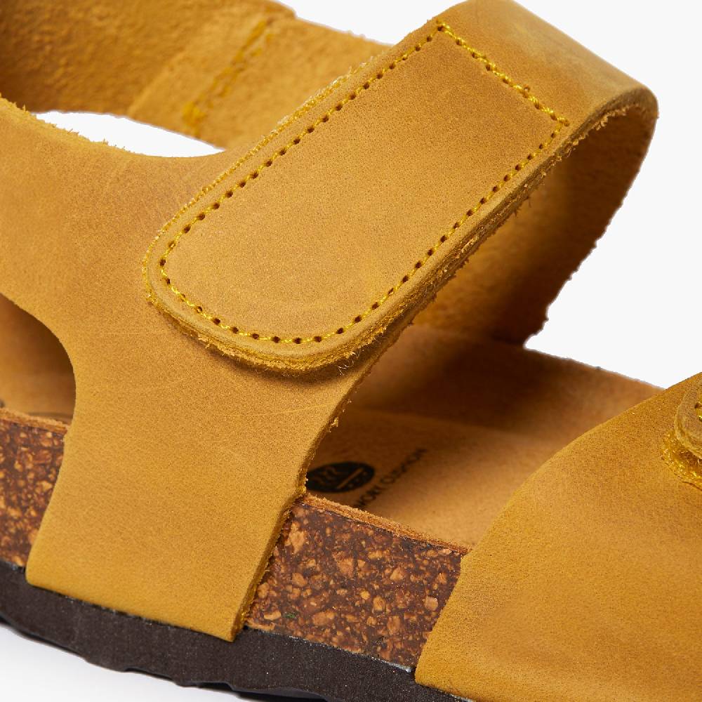 Plakton Partner Ocre Apure Verkauf