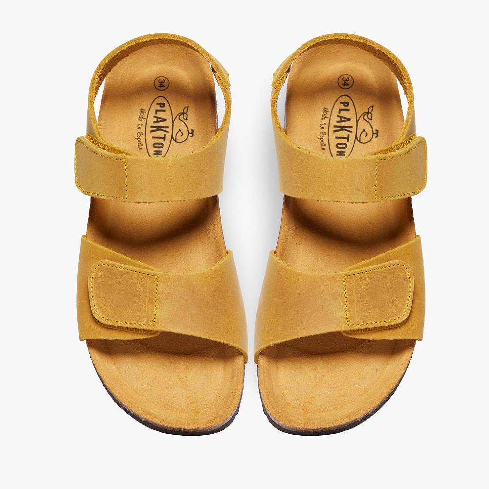 Plakton Partner Ocre Apure Verkauf