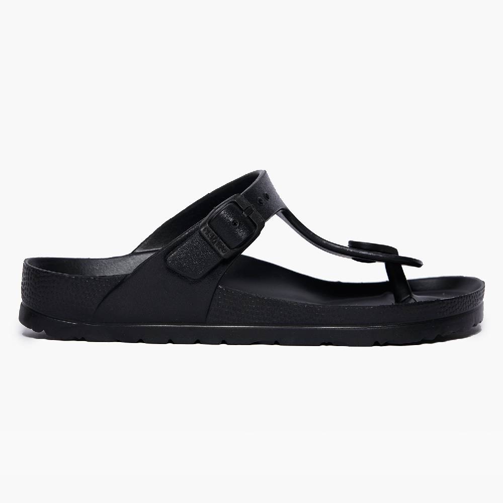 Plakton Wendy Black