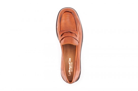Riccardo Cartillone La bottega di Lisa 5551 castoro Sonderangebot