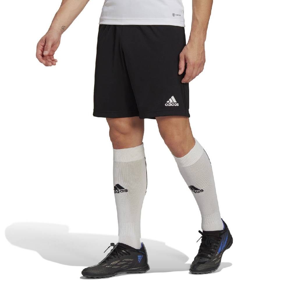 Saller adidas Entrada 22 Training Short Tiefpreis