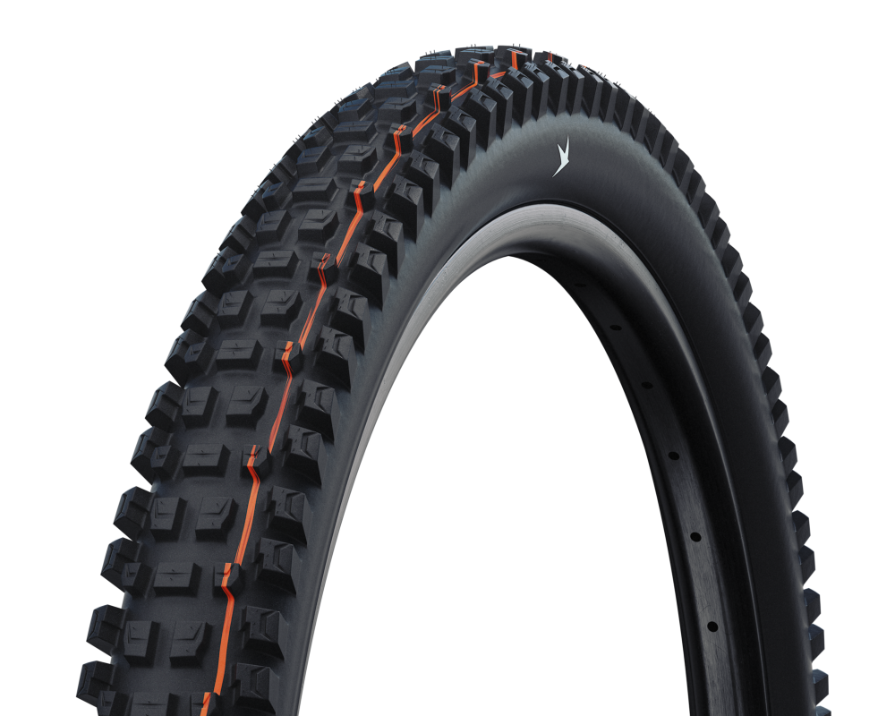 Schwalbe Albert