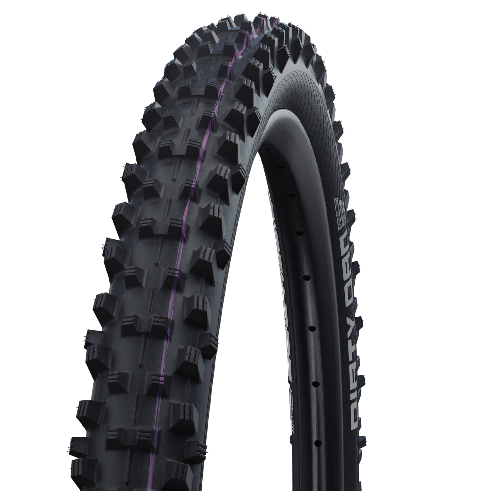 Schwalbe Dirty Dan