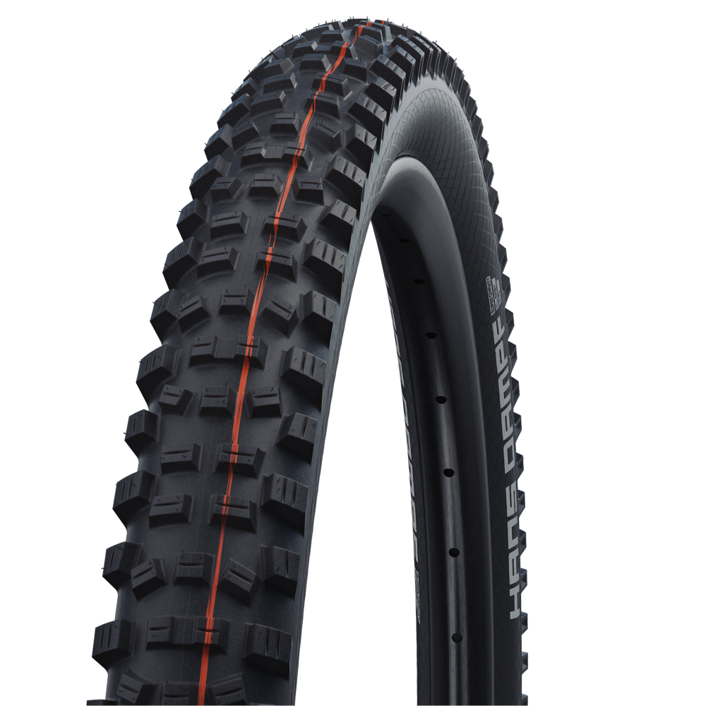 Schwalbe Hans Dampf