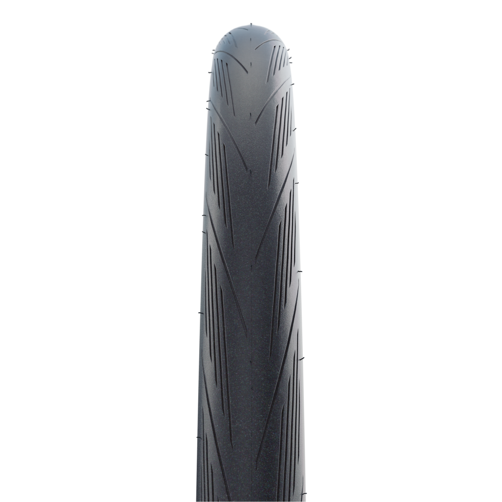 Schwalbe Lugano II Letzter Tag