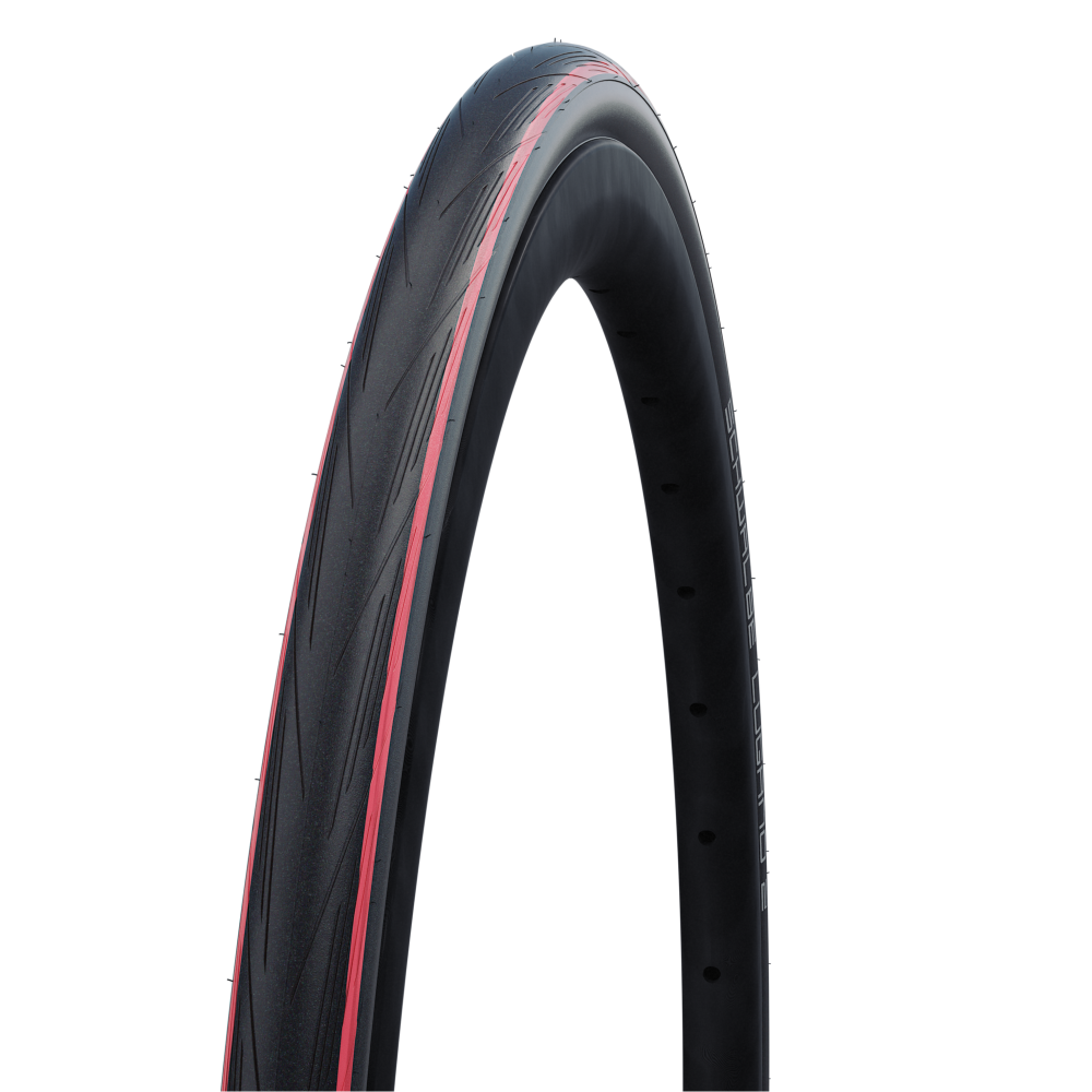 Schwalbe Lugano II Letzter Tag
