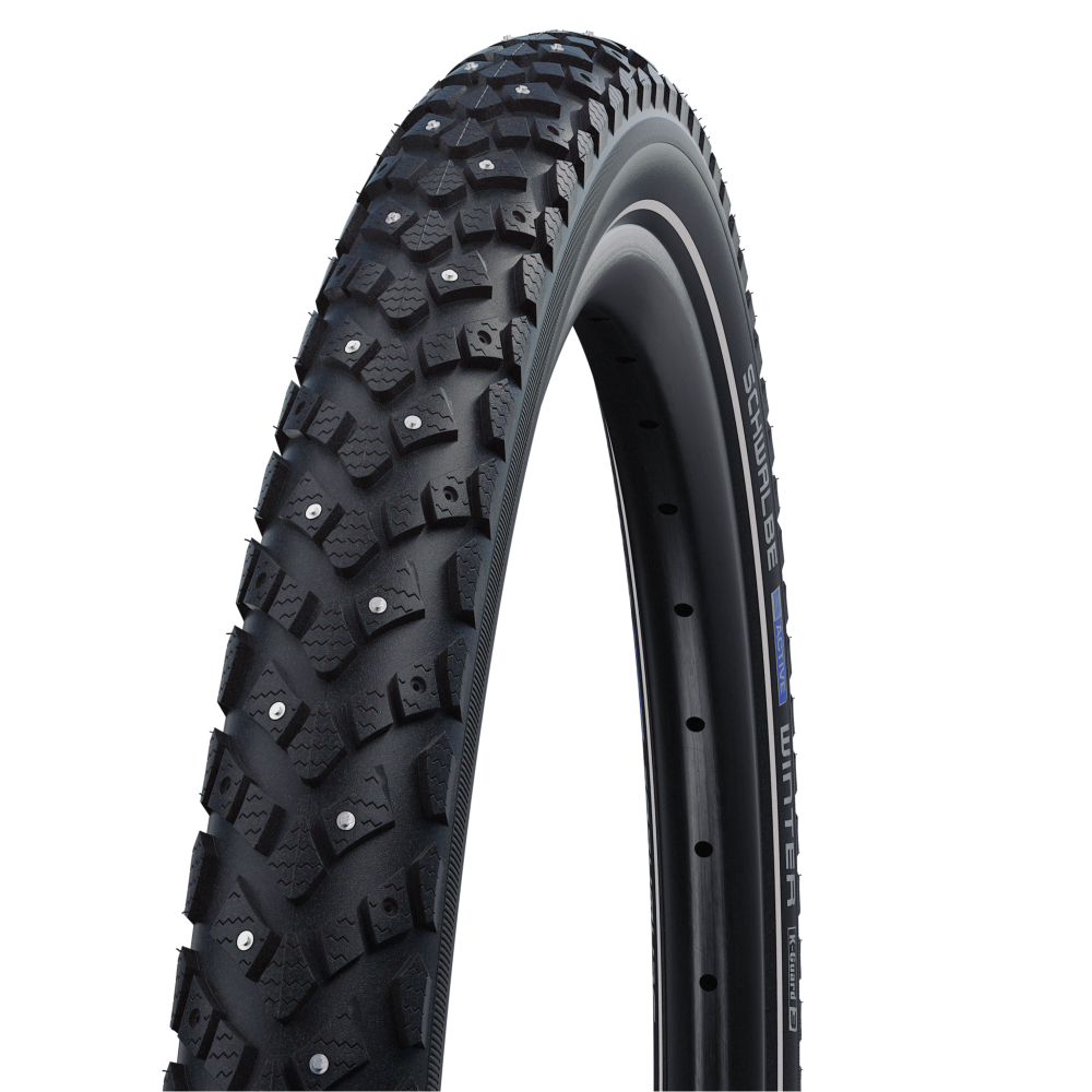 Schwalbe Winter