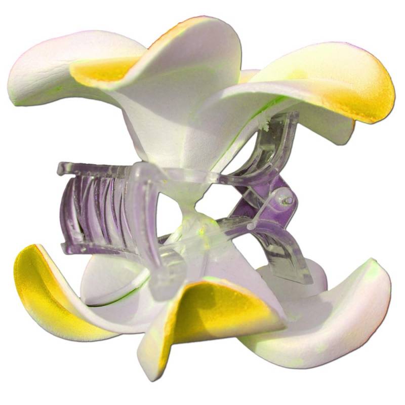 Seestern Sportswear SEESTERN Bali Hawaii Haarklammer 2 Frangipani Blüten aus Moosgummi, Haarspange Gelb Hotsell