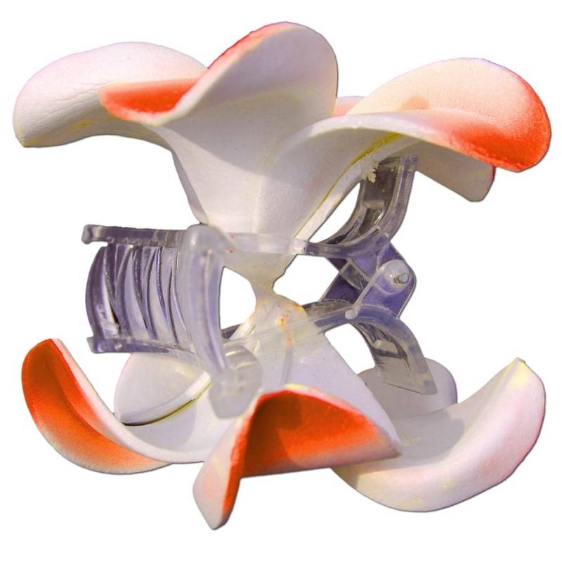 Seestern Sportswear SEESTERN Bali Hawaii Haarklammer 2 Frangipani Blüten aus Moosgummi, Haarspange Orange im Angebot