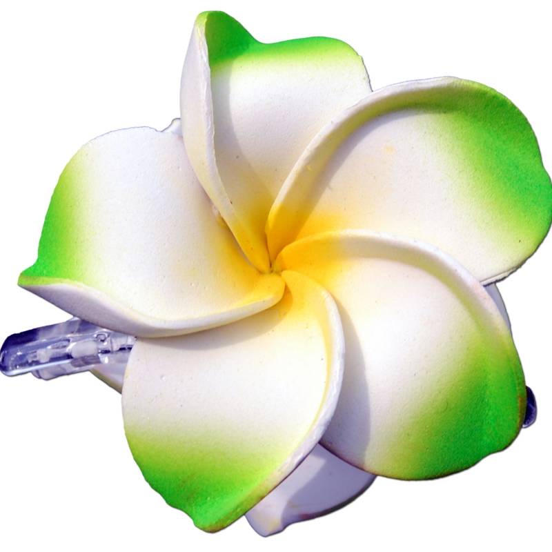 Seestern Sportswear SEESTERN Bali Hawaii Haarklammer 2 Frangipani Blüten aus Moosgummi, Haarspange Grün