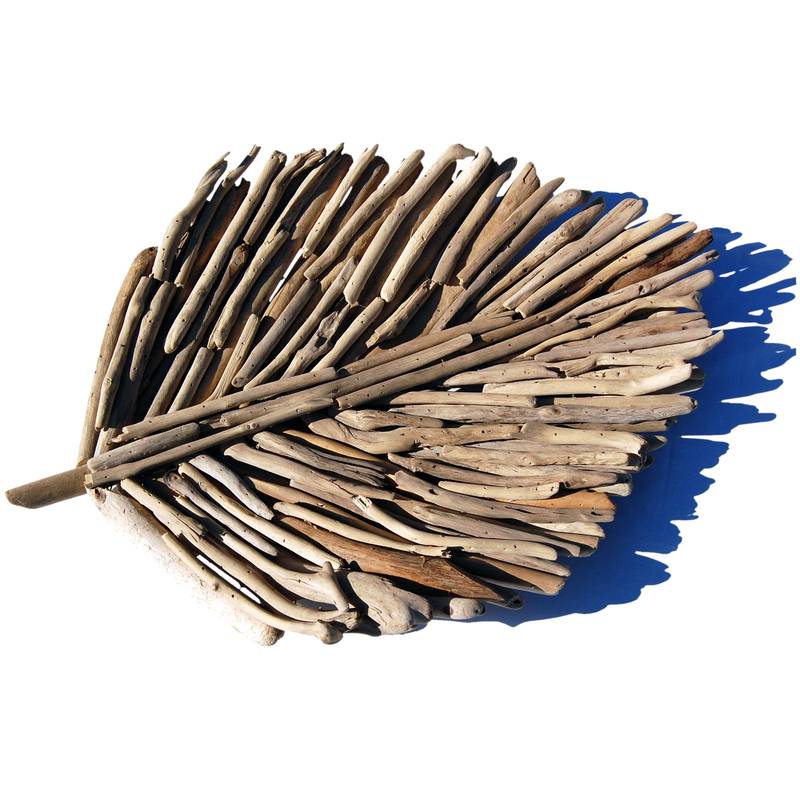Seestern Sportswear SEESTERN Treibholz Deko Blatt Schale (60 cm) Motiv Wanddeko Driftwood Holzdeko /2349