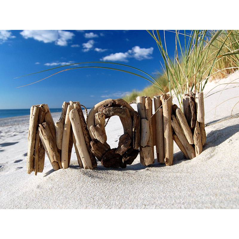 Seestern Sportswear SEESTERN Treibholz Deko m. MOIN Motiv Wanddeko Driftwood Surfing Schild Holzdeko /2345 Verkauf