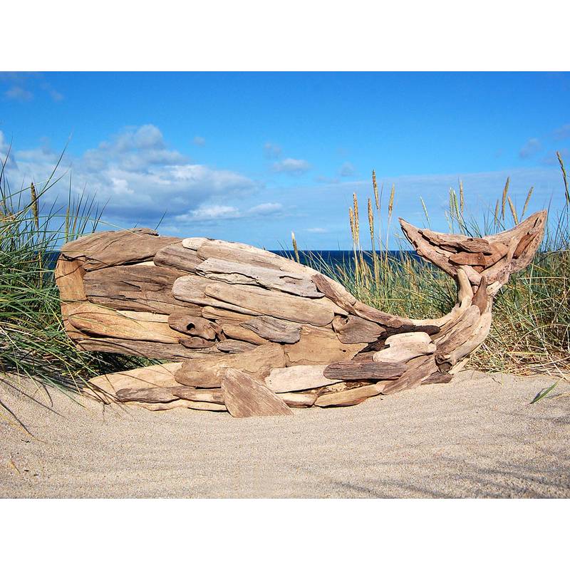 Seestern Sportswear SEESTERN Treibholz Deko m.Wal (106 cm) Motiv Wanddeko Driftwood Holzdeko /2341 Schlussverkauf