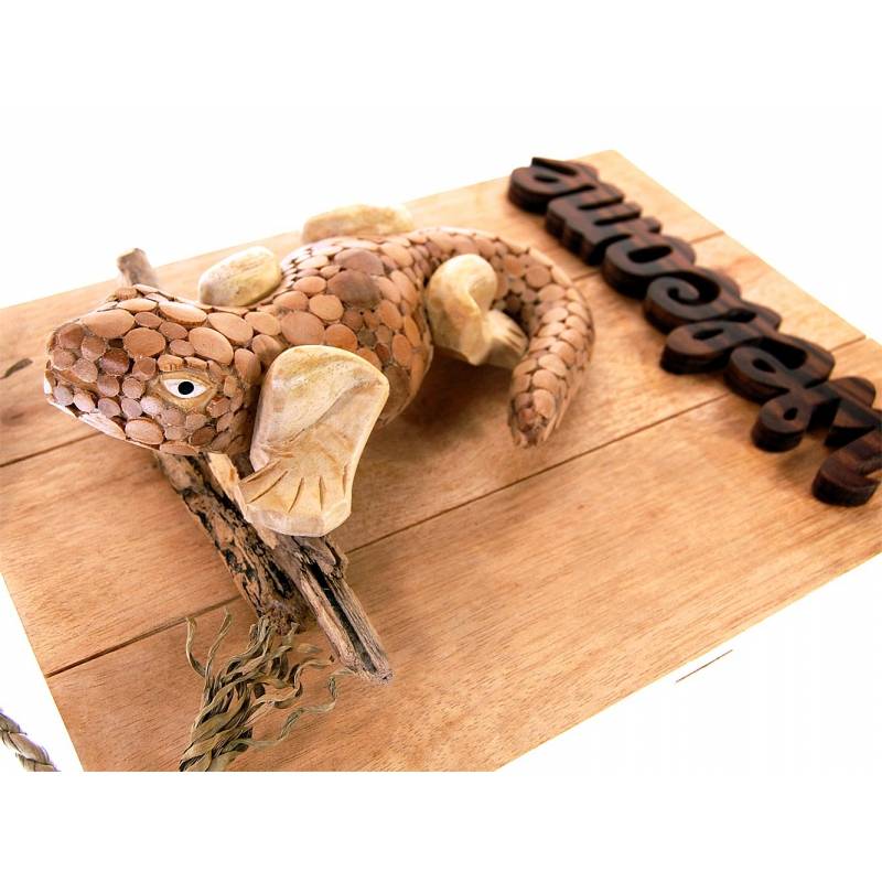 Seestern Sportswear Seestern Deko Teak Holz Haustür Tür Schild Welcome mit Gecko Motiv 40 x 30 cm /1614 Verkauf