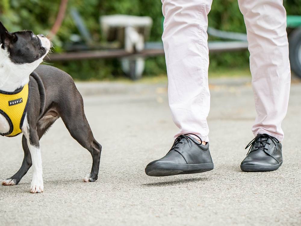 Sole Runner Pflegehinweise für SOLE RUNNER® Barfußschuhe Angebote
